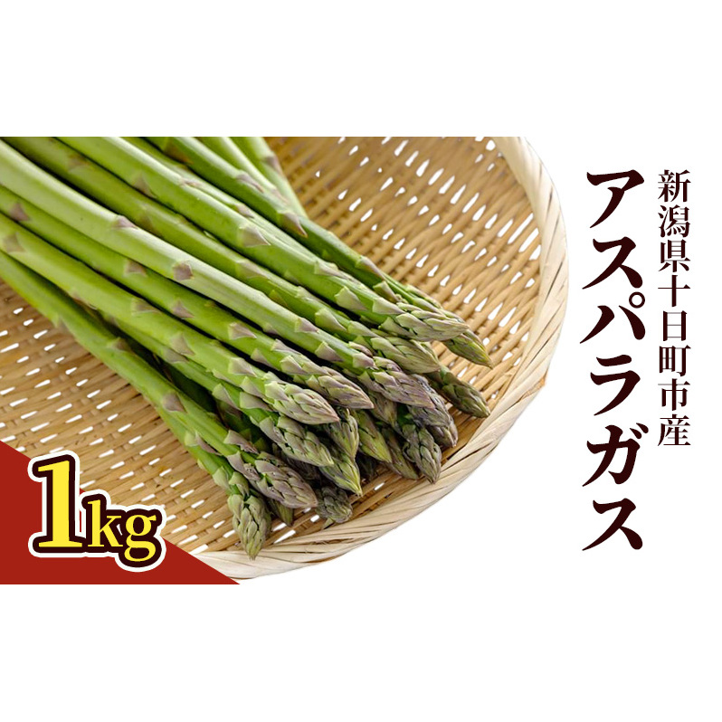 アスパラガス 1kg 野菜 アスパラ 新潟県 十日町市