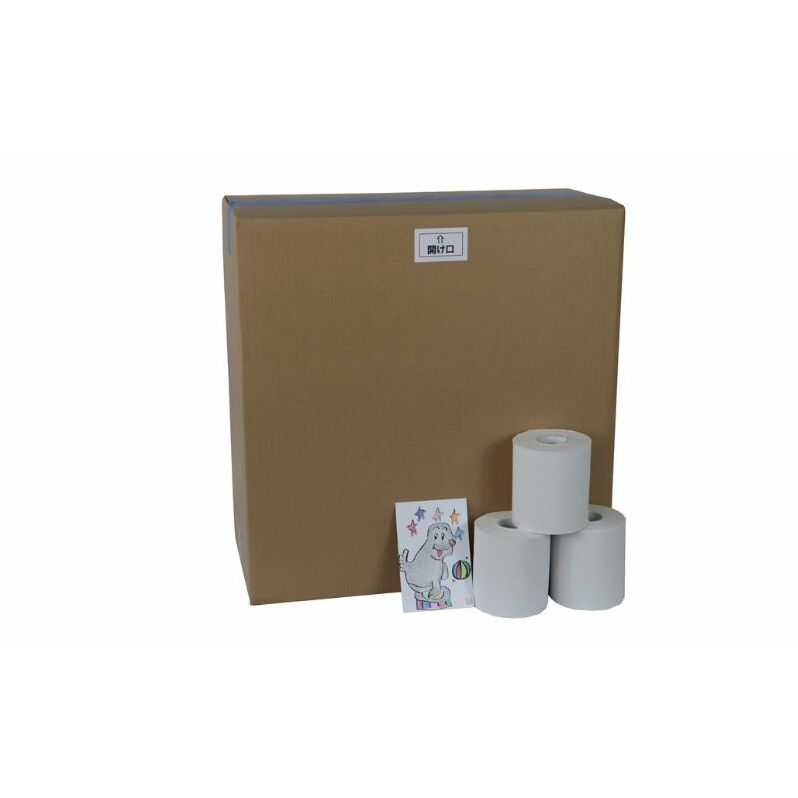 トイレットペーパーダブル50包装なし【障がい者支援の返礼品】 雑貨 日用品 生活支援 サポート 