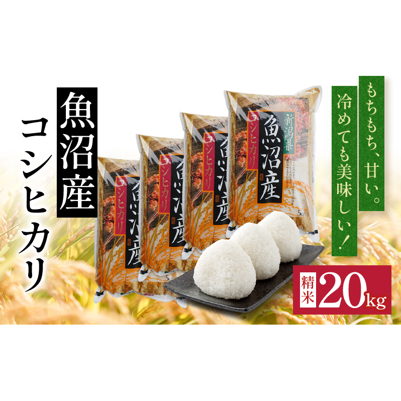 令和7年度産【十日町産】 魚沼産コシヒカリ20kg 米 お米 こしひかり 精米 新潟 