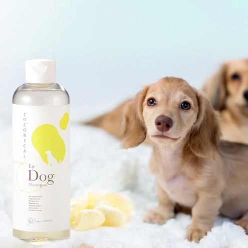 《絹生活研究所》COCONICAL for Dogシャンプー 犬 