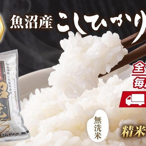 【定期便】｜無洗米｜ 新潟県 魚沼産 コシヒカリ お米 5kg×計12回 精米済み 年間 毎月発送 こしひかり （お米の美味しい炊き方ガイド付き） ご飯 ブランド米 銘柄米 