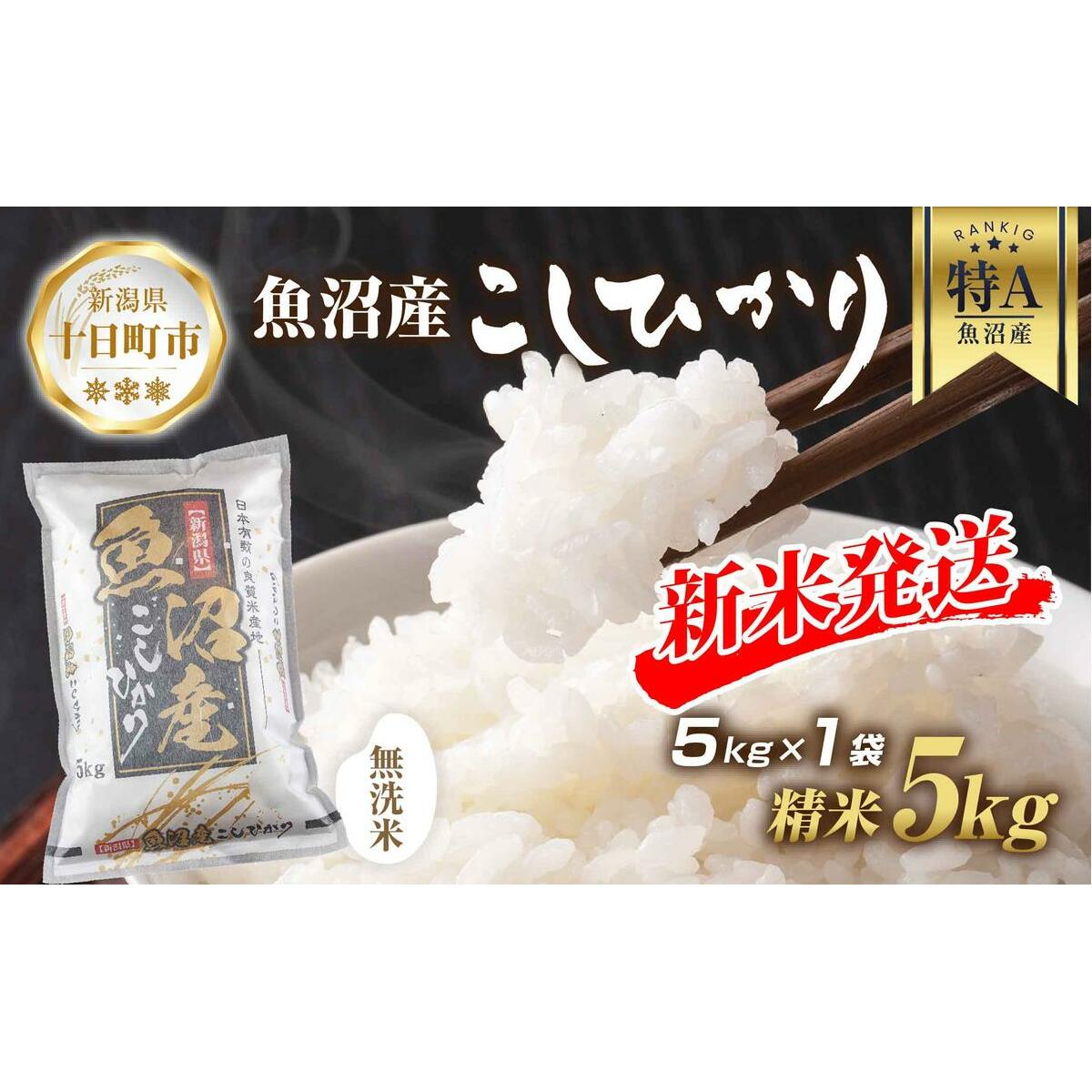 【令和7年産 新米予約】 無洗米 魚沼産 コシヒカリ 5kg 新米 農家のこだわり 新潟県 十日町市 お米 こめ 白米 コメ 食品 人気 おすすめ 送料無料 精米 ご飯 ブランド米 銘柄米