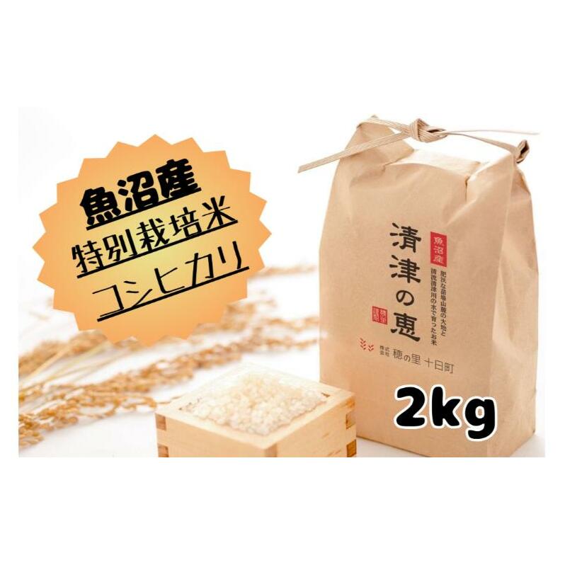 令和７年産【１０月発送開始！】魚沼産特別栽培米コシヒカリ［清津の恵］精米2kg（１kgx2袋）