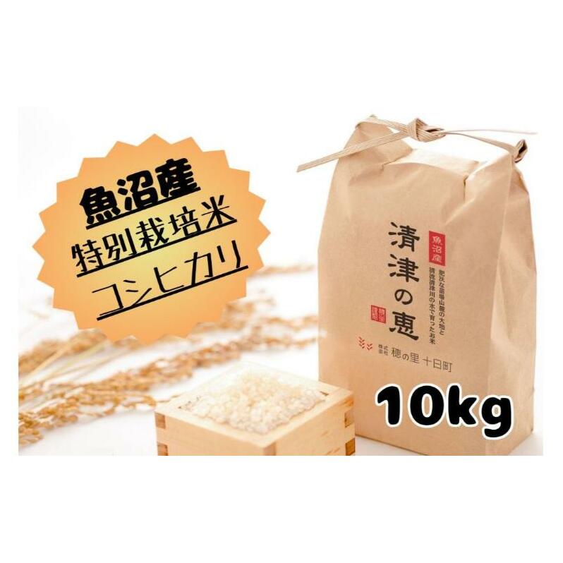 令和７年産【１０月発送開始！】魚沼産特別栽培米コシヒカリ［清津の恵］精米10kg（5kgx2袋）