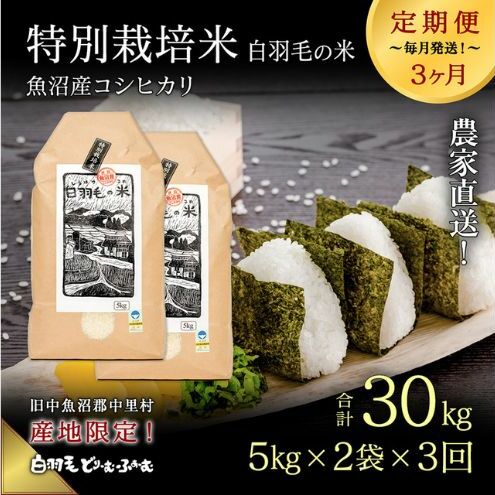 通年受付】≪令和5年産≫【定期便／全3回】農家直送！魚沼産コシヒカリ特別栽培「白羽毛の米」精米10kg(5kg×2袋)×3回 計30kg | 新潟県十日町市  | JRE MALLふるさと納税