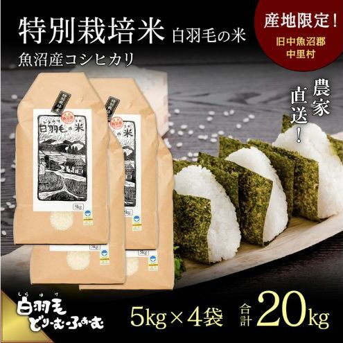 通年受付】≪令和5年産≫ 農家直送！魚沼産コシヒカリ特別栽培「白羽毛の米」精米(5kg×4袋) 20kg | 新潟県十日町市 | JRE  MALLふるさと納税