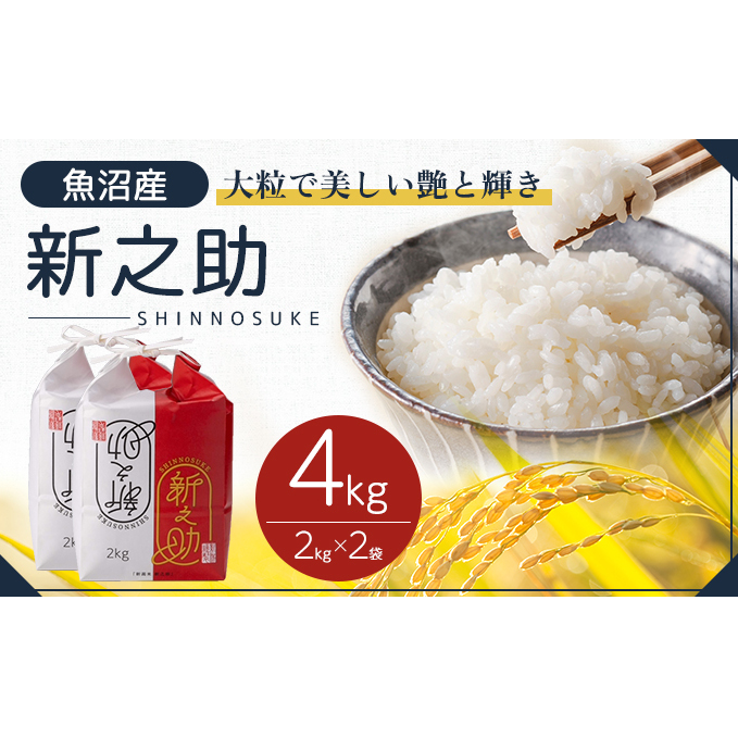 令和7年産 魚沼産 新之助 4kg(2kg×2袋) お米 米 コメ 