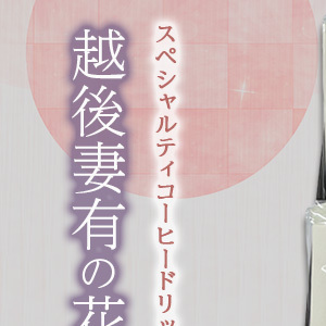 スペシャルティコーヒードリップバッグ「越後妻有の花」セット [DB4] 珈琲 ドリップコーヒー ドリップバック 飲料 新潟 