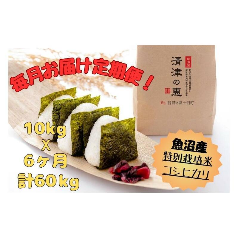 【通年受付】令和７年産【１０月発送開始！】魚沼産特別栽培米コシヒカリ［清津の恵］精米10kg（5kgx２袋）全6回 十日町市 十日町 米