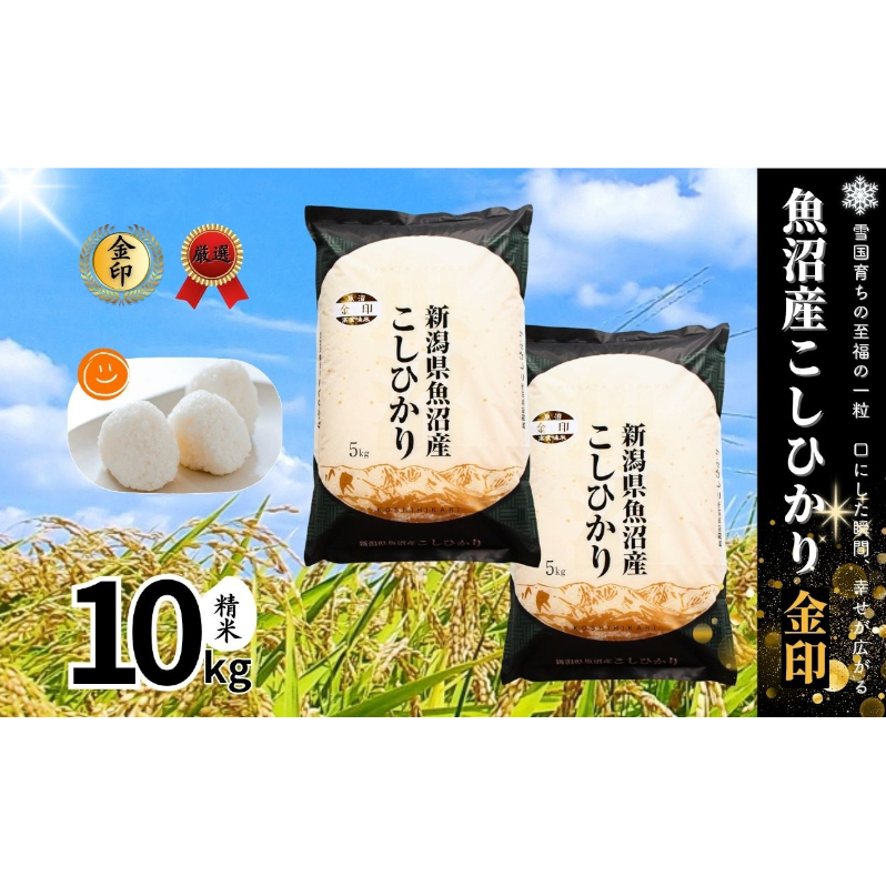 令和6年産 魚沼産こしひかり 10kg精米