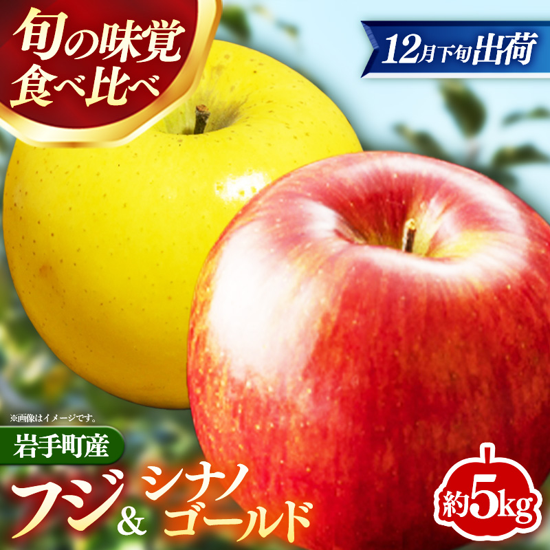 【12月下旬より順次発送】【先行受付】フジ&シナノゴールド約5kg 令和7年産 りんご リンゴ フジ シナノゴールド フルーツ 果物 くだもの アップル 甘み 酸味 蜜入り ジューシー セット 詰め合わせ 岩手産 岩手県産 岩手県 岩手町 髙村果樹園