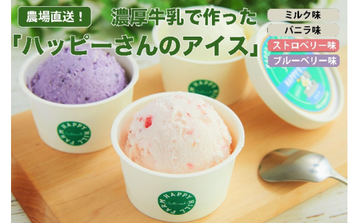 ハッピーさんのアイス ４種類１２個入り アイスクリーム カップ スイーツ あいす セット ギフト プレゼント 贈り物 夏 ミルク バニラ ストロベリー ブルーベリー