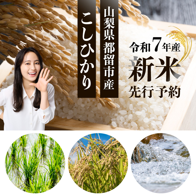 【令和７年産新米・予約】山梨県都留市産こしひかり[5kg]　お米 コメ 米 コシヒカリ 先行予約 新米 令和７年度産