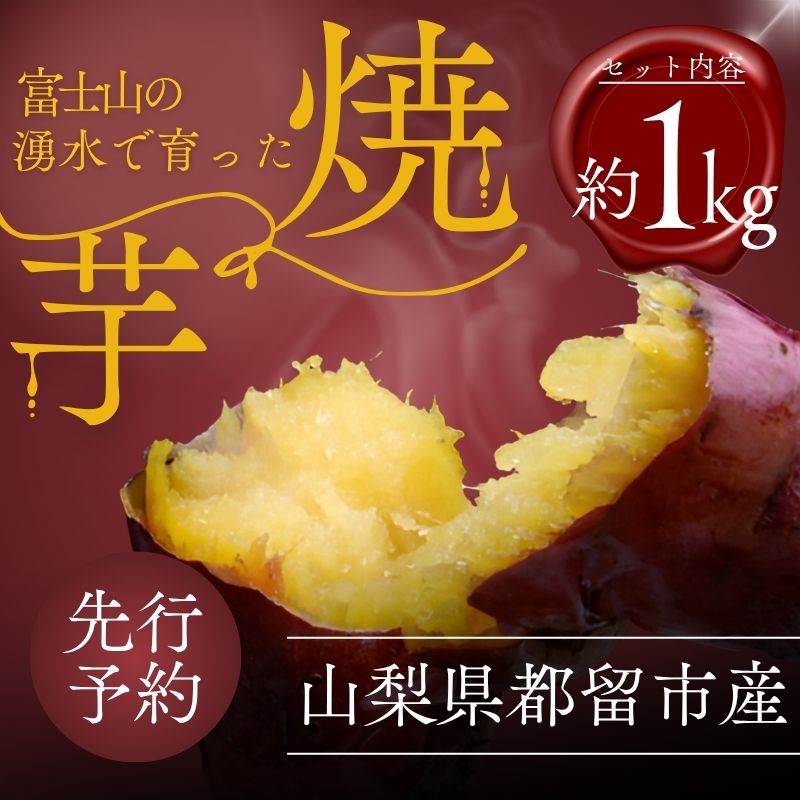 [先行予約]富士山の湧水で育った焼きいも [山梨県産 焼き芋 やきいも おいも 美味しい 熟成 格別 富士山 湧水 極上 スイーツ ほっくり ほくほく おやつ 特別感 自分 ごほうび 記念 贈り物 贈答 格別]