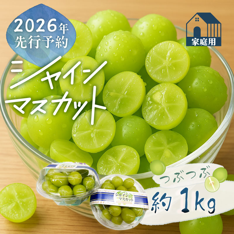 [2026年先行予約]ご家庭用つぶつぶ シャインマスカット(約1.0kg)