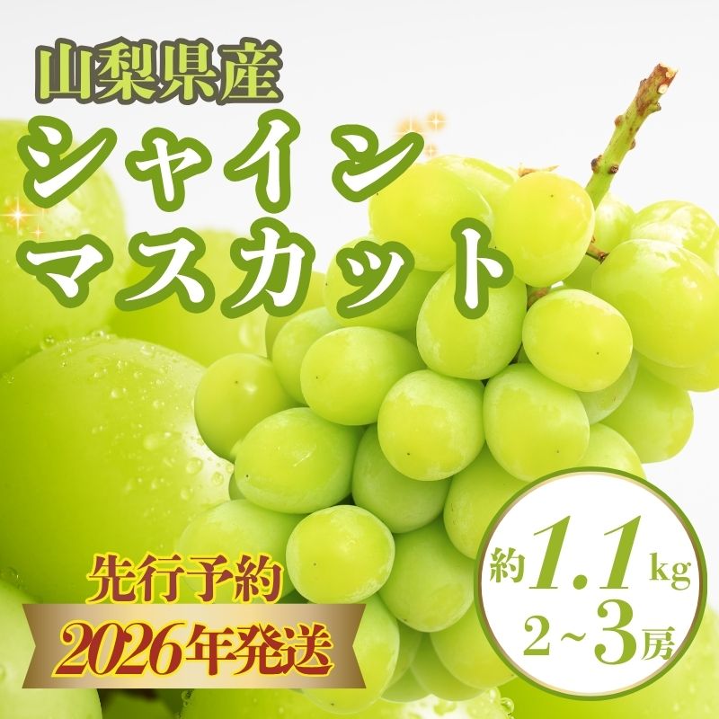 【2026年先行予約】山梨県産 シャインマスカット 約1.1kg (2房~3房) | シャイン シャインマスカット ぶどう ブドウ 葡萄 フルーツ