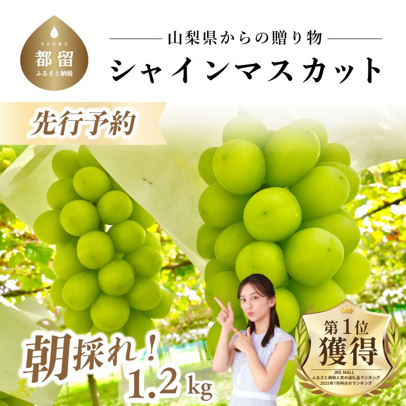 大好評!!【2025年 先行予約】 山梨県産 シャインマスカット ２房 (1.2kg以上)