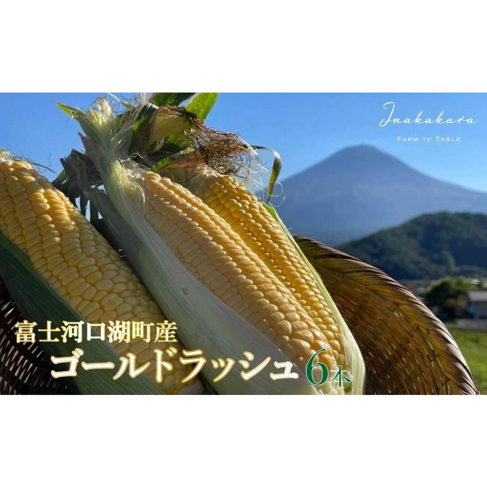 [2025年8月〜9月発送][富士山の麓で育つ]河口湖町産Inakakara「ゴールドラッシュ」6本 ×[富士河口湖地ビール]富士桜高原麦酒(シュヴァルツヴァイツェン4本セット)金賞クラフトビール