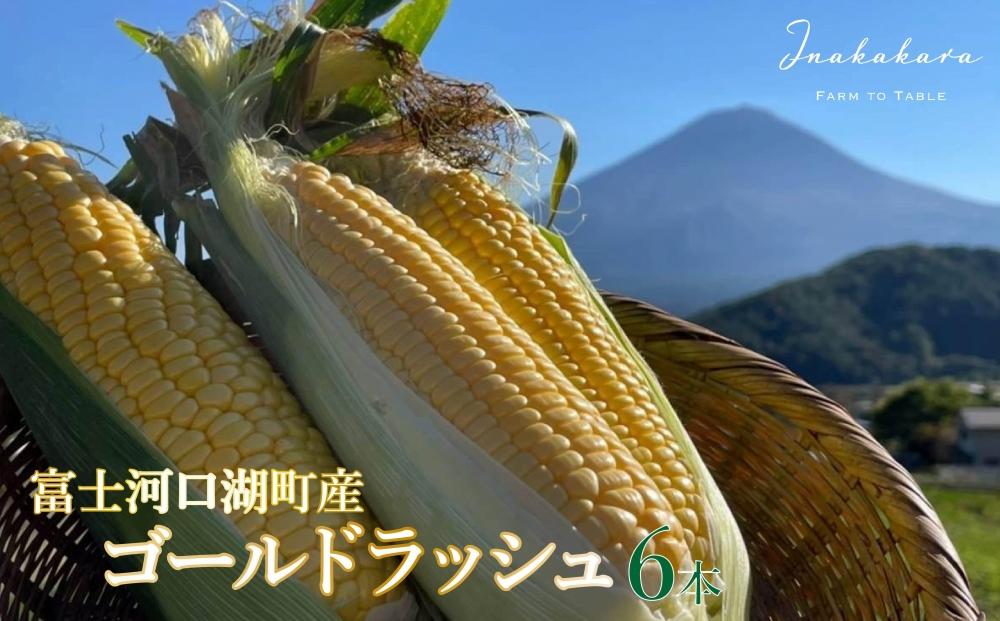 [2025年8月〜9月発送][富士山の麓で育つ]河口湖町産Inakakara「ゴールドラッシュ」6本 野菜 やさい とうもろこし トウモロコシ コーン 先行予約