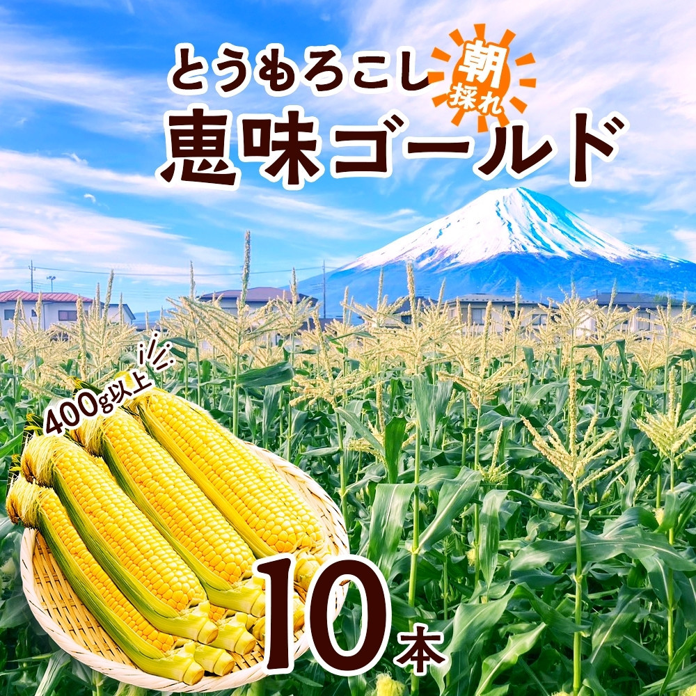 とうもろこし 恵味 ゴールド 400g以上×10本 計4kg以上 高糖度 トウモロコシ スイートコーン 玉蜀黍 イエローコーン 黄 夏野菜 甘い ジューシー 野菜 おやつ 旬 産地直送 送料無料 湖南野菜出荷組合 山梨県 富士河口湖町
