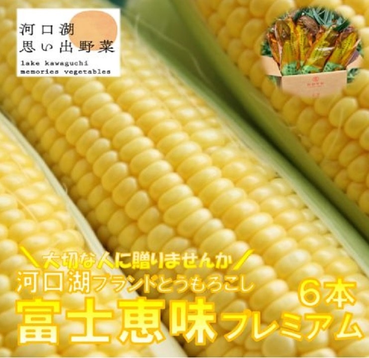 [2025年7月発送]恵味ゴールド 一流リゾートホテル御用達 糖度18度超え とうもろこし 富士恵味プレミアム 6本[先行受付・数量限定] スイートコーン