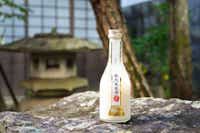 甲斐の開運 蔵元あま酒 300ml×6本セット<富士山湧水仕込み>【井出醸造店】