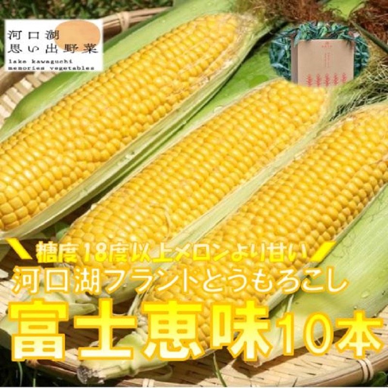 [2025年7月発送] 恵味ゴールド メロンより甘い!生で美味しいとうもろこし富士恵味10本セット[先行予約・数量限定] スイートコーン