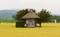ふるさとの自然と景観を未来に継承する事業【自然環境・景観・農村保全・防災事業など】