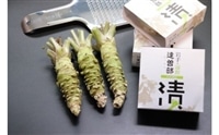 根 わさび 真妻 200g (3〜4 本) たっそべ漬け( 粕漬 )の セット 山葵 用 おろし金 付 / 生産者直送 / 生 / 新鮮 / 岩手県 遠野市 産 / 刺身 / お肉 / ステーキ / 薬味 / わさび丼 /