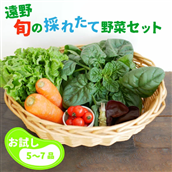 旬の採れたて野菜セット(5〜7品目) こんたでぃーの遠野