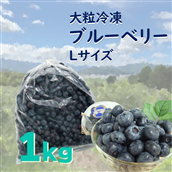 遠野で育った無農薬栽培の大粒冷凍ブルーベリーLサイズ 1kg