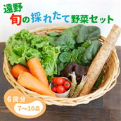 [偶数月6回定期便]旬の採れたて野菜の詰め合わせセット(7〜10品)~いっぺ食べろよ~