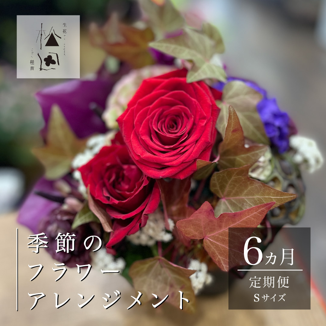 【定期便6ヶ月】季節のフラワーアレンジメント Sサイズ 合計6回【松田生花店】
