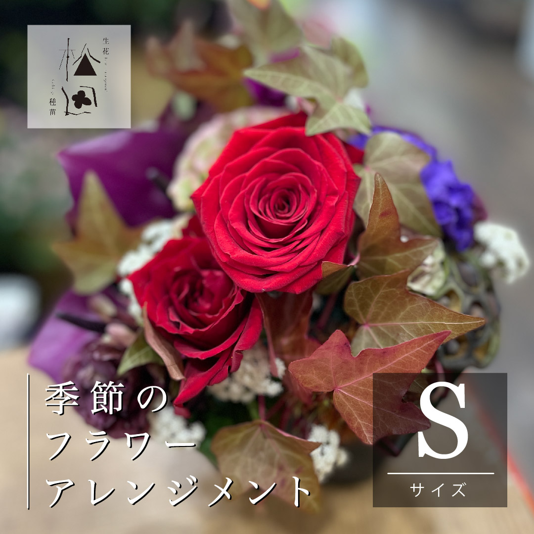 【定期便12ヶ月】季節のフラワーアレンジメント Sサイズ 合計12回【松田生花店】