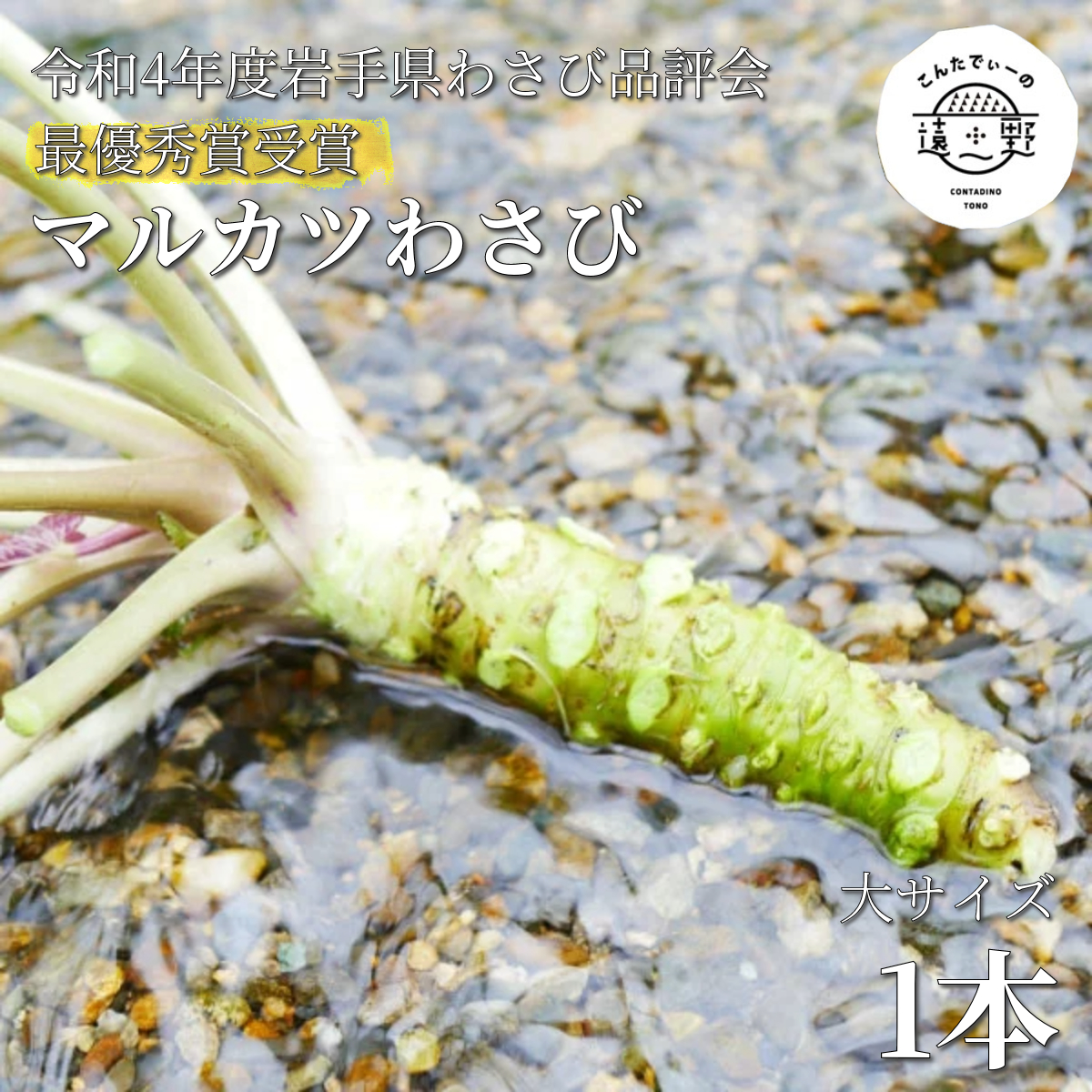 マルカツ わさび 大 サイズ 1 本 令和 4年 岩手県 わさび 根わさび 品評会 最優秀賞 受賞 遠野市 産 新鮮 太い 生 こんたでぃーの遠野
