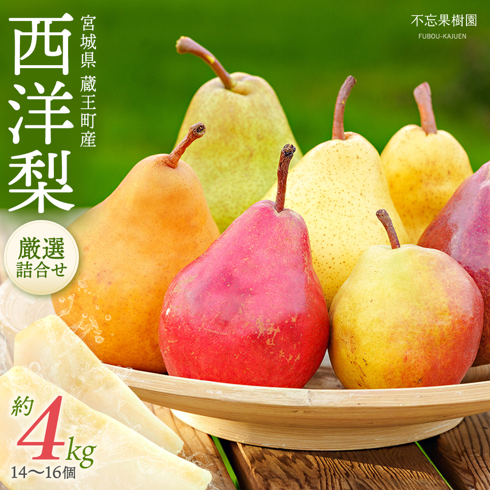【先行予約】厳選 西洋梨詰合せ約4kg(14個~16個) 蔵王産 【04301-0150】