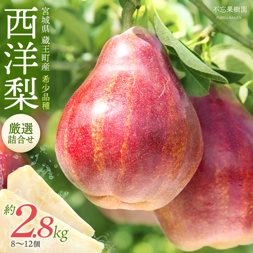 【先行予約】希少な洋梨「リーガルレッドコミス」 2.5~2.8kg(8~12個) 蔵王産 【04301-0184】