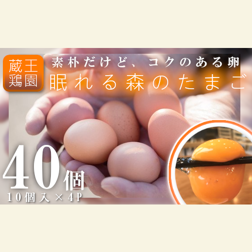 眠れる森のたまご 朝採れ卵40個 【04301-0324】 | 宮城県蔵王町 | JRE MALLふるさと納税