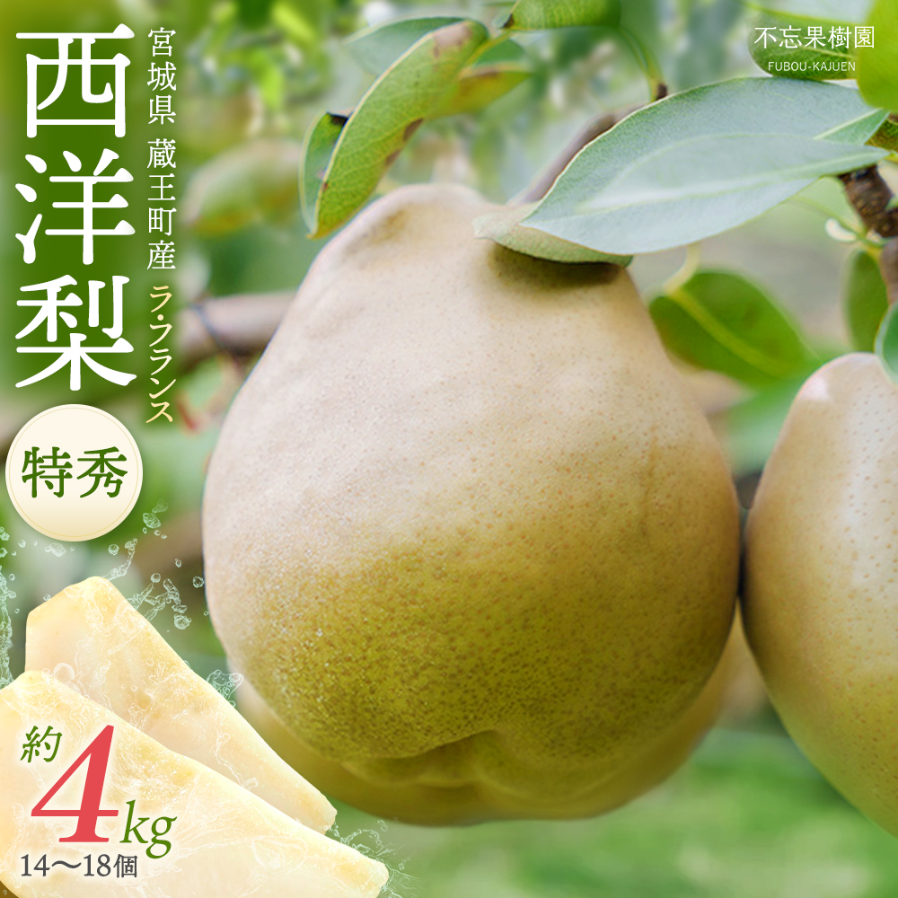 【先行予約】厳選 おいしいラ・フランス約4kg(14~18個) 蔵王産 【04301-0151】