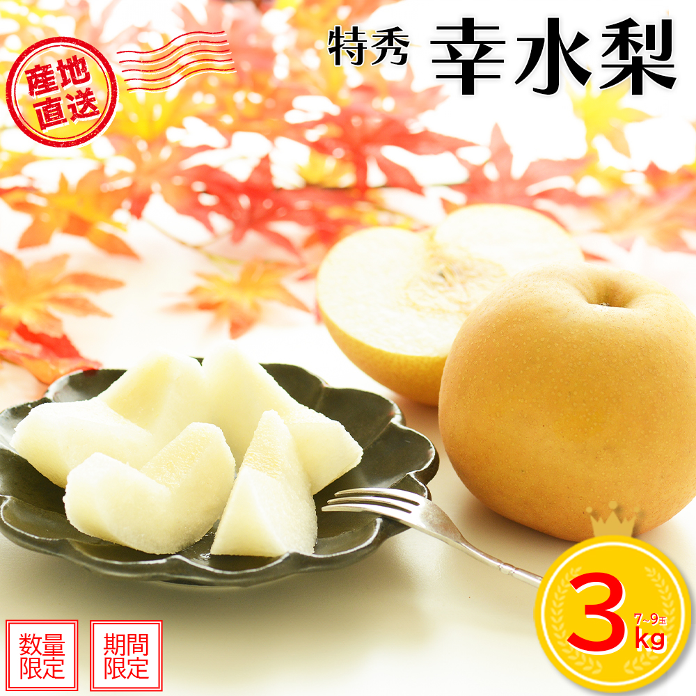 【先行予約】<蔵王町産>【特秀】幸水梨3kg箱詰め 【04301-0603】