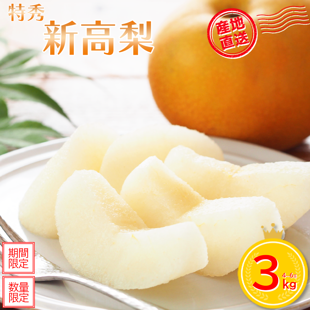 【先行予約】＜蔵王町産＞【特秀】新高梨3kg箱詰め　【04301-0605】