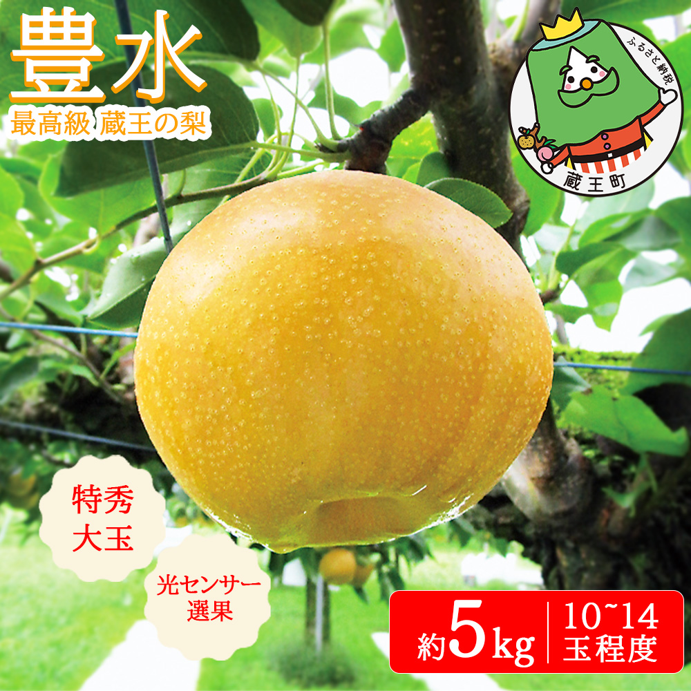 最高級 蔵王の梨 豊水 約5kg 特秀・大玉 [04301-0716]