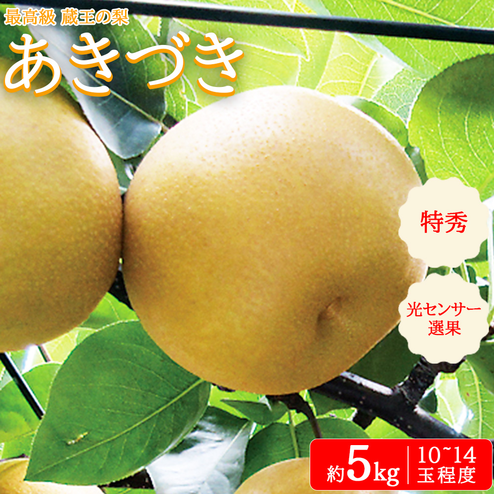 最高級 蔵王の梨 あきづき 約5kg 特秀･大玉 [04301-0717]