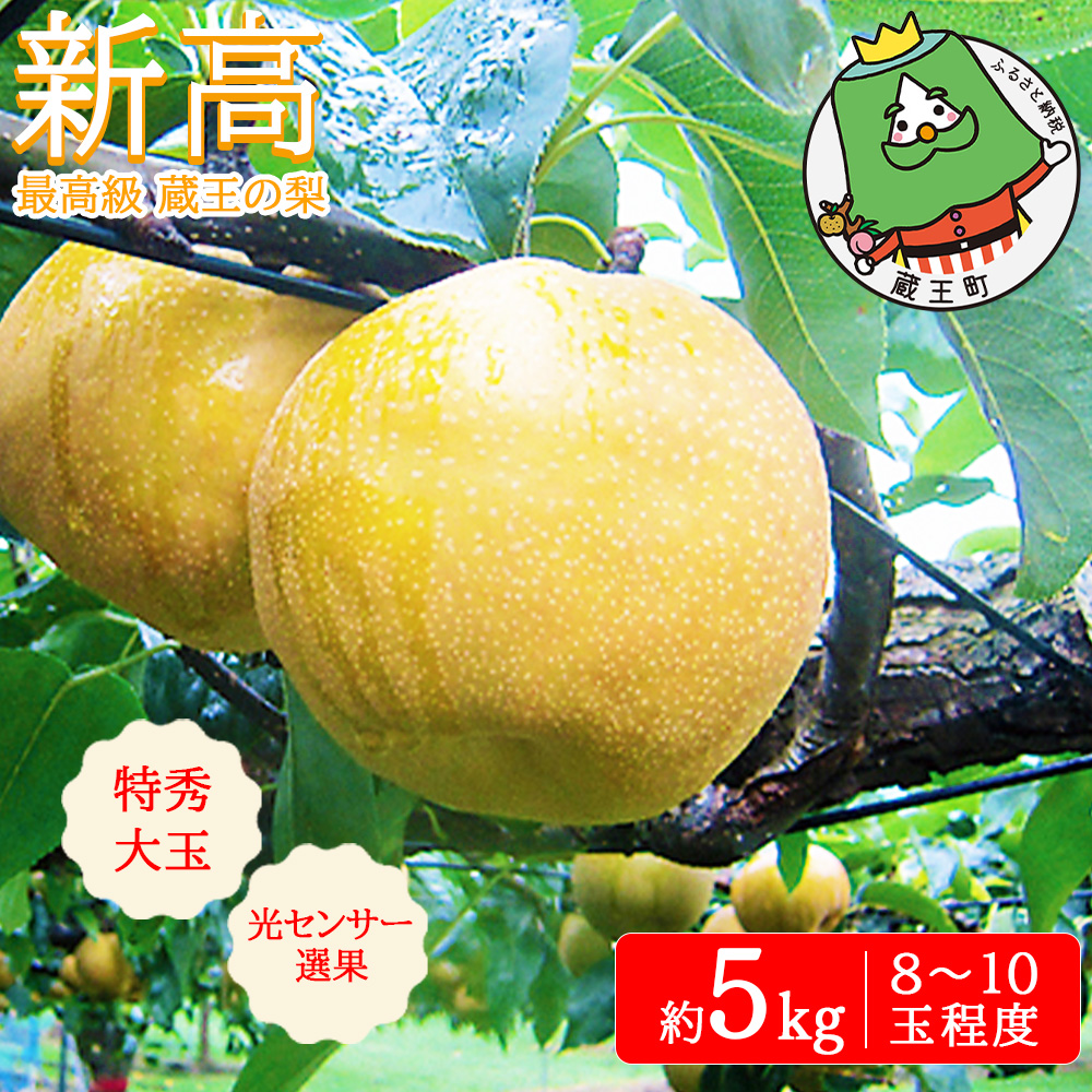 最高級 蔵王の梨 新高 約5kg 特秀･大玉 [04301-0718]
