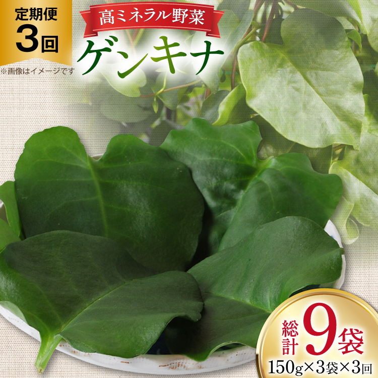 ゲンキナ 150g 3p 3回 定期便 総計9P [よねおりかんこうセンター 山形県 高畠町 tk06ays760009] 野菜 やさい 腸活 オカワカメ
