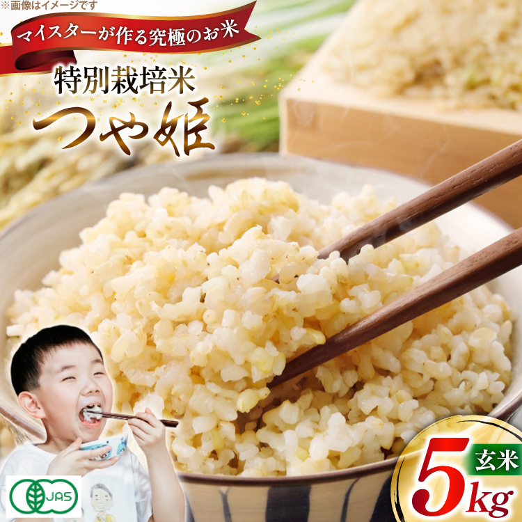 玄米 令和7年 つや姫マイスターが作る 特別栽培米 つや姫 5kg [遠藤農園 山形県 高畠町 tk06ayt120013] 5キロ お米 ブランド米 ごはん ご飯 こめ