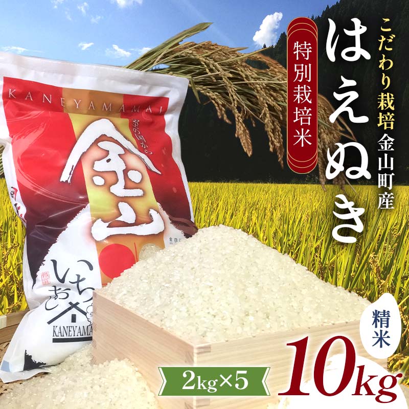【先行予約 令和7年産】 金山町産 特別栽培米 はえぬき 精米 2kg×5(10kg) 米 お米 ご飯 ブランド米 F4B-0606
