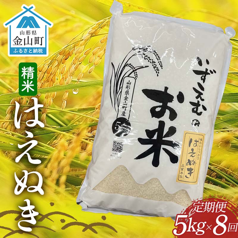 先行予約 令和7年産 金山町産はえぬき 定期便 5kg×8回（40kg）米 お米 白米 ご飯 精米 ブランド米 送料無料 東北 山形 金山町 F4B-0615