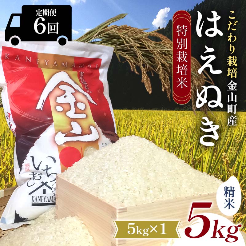 【令和7年産】定期6回 金山町産 特別栽培米 はえぬき 精米 5kg 米 お米 ご飯 ブランド米 定期便 F4B-0623