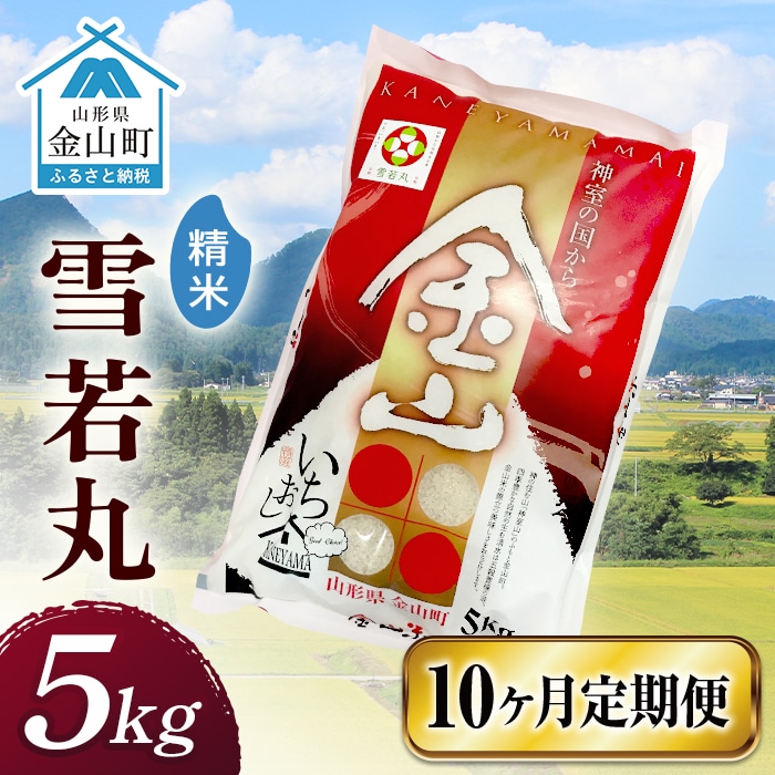 令和6年産 金山産米「雪若丸【精米】」（5kg）×10ヶ月・定期便 計50kg 定期便 10ヶ月 米 お米 白米 ご飯 精米 ブランド米 雪若丸 送料無料 東北 山形 金山町 F4B-0555